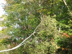 IMG 5480 01