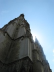 IMG 2967 01